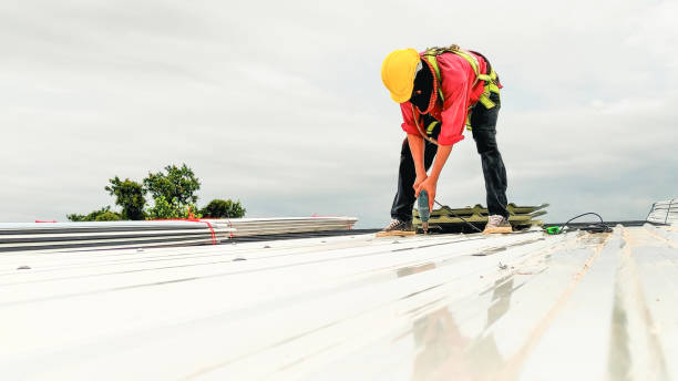 Best Roof Moss and Algae Removal  in Apple Creek, OH